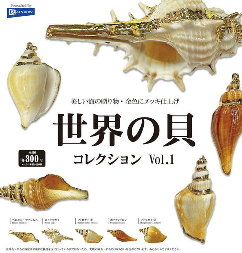 『カプセルトイ』300円カプセル 世界の貝コレクション Vol.1【BOX】